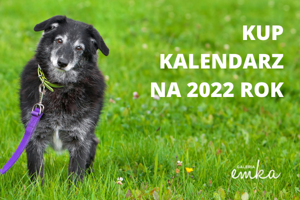 „Psijacielski” Kalendarz na 2022 rok 