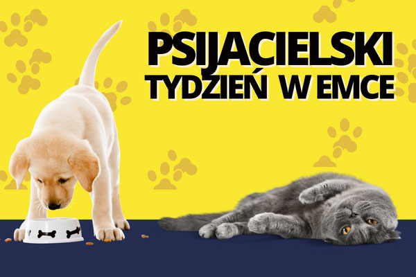 Psijacielski Tydzień w Emce!